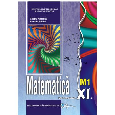 Matematica XI m1